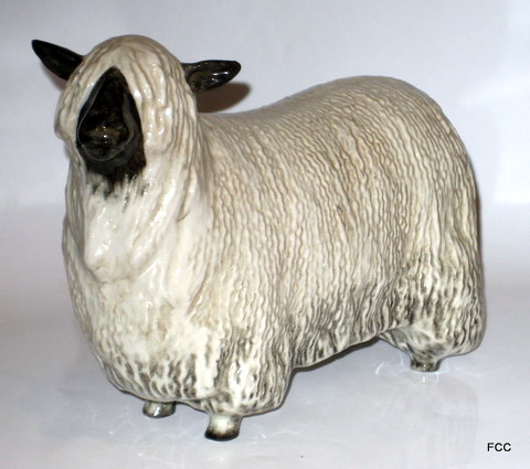 Wensleydale Sheep